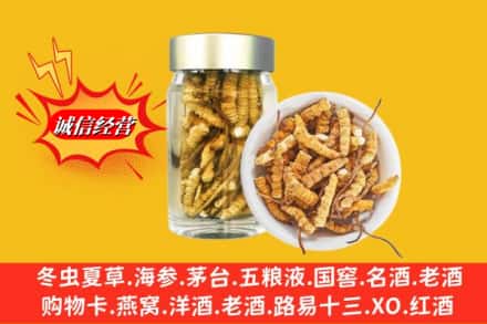 青山区名酒回收散虫草.jpg