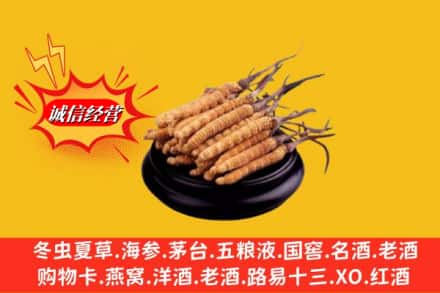 青山区名酒回收冬虫夏草.jpg